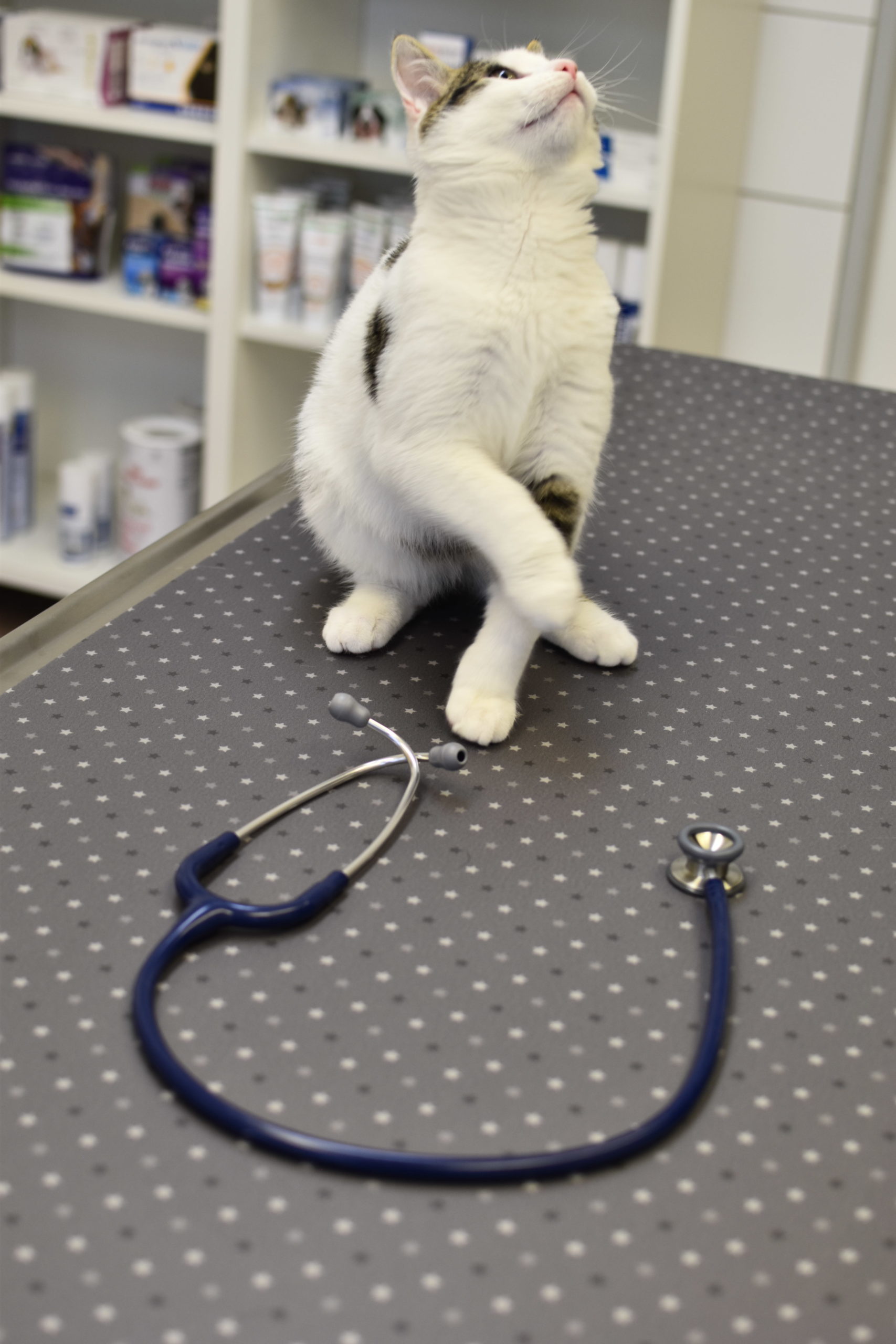 Patient VetoZen